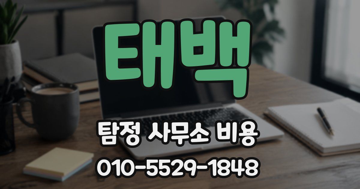 태백 탐정 사무소 비용