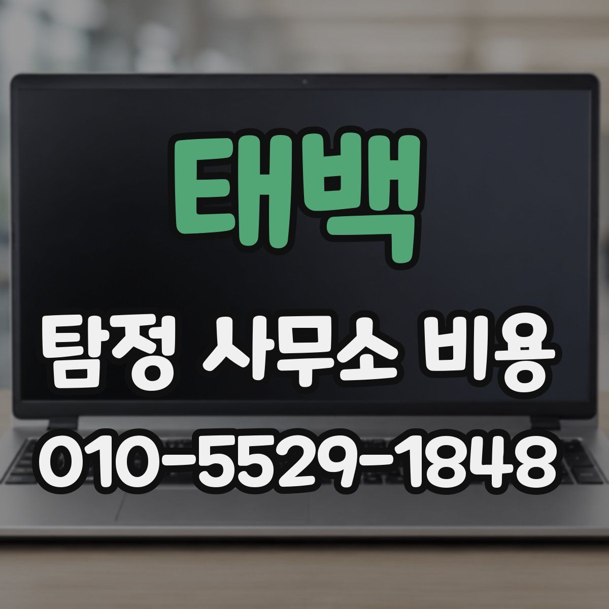 태백 탐정 사무소 비용