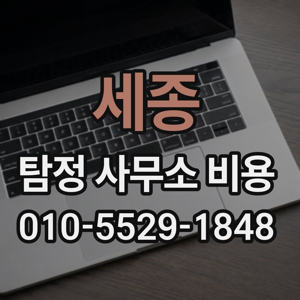 세종 탐정 사무소 비용