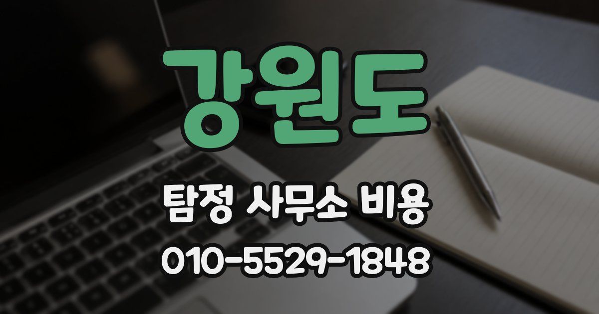 강원도 탐정 사무소 비용