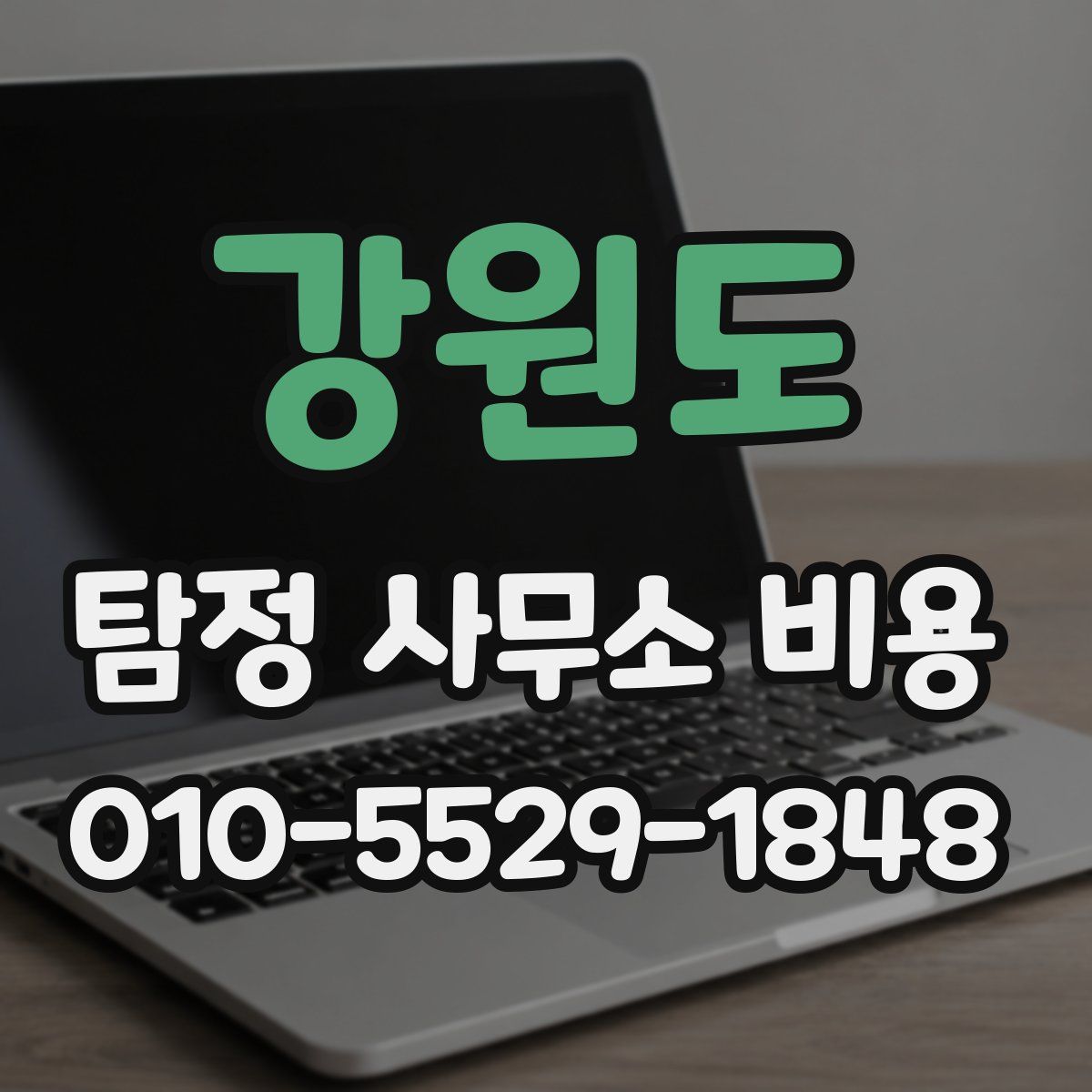 강원도 탐정 사무소 비용