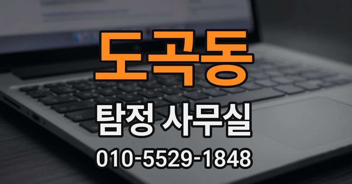 도곡동 탐정 사무실