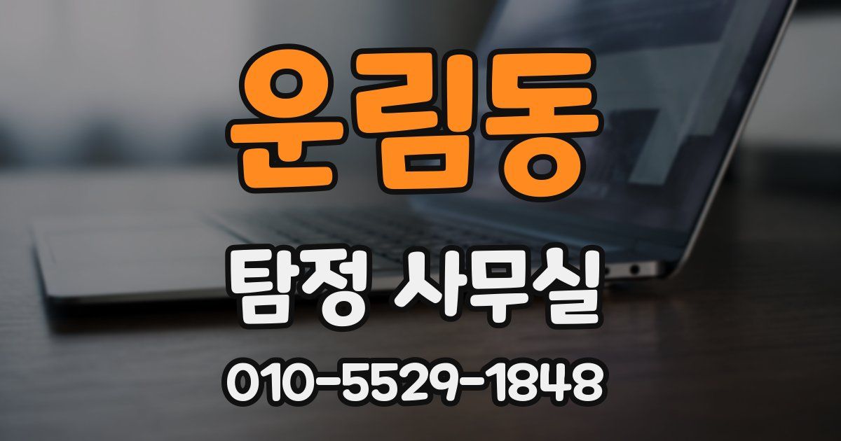 운림동 탐정 사무실