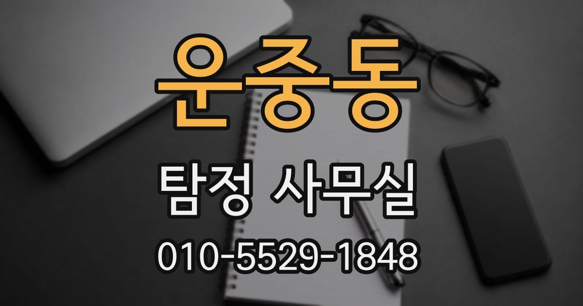 운중동 탐정 사무실