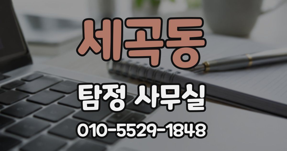 세곡동 탐정 사무실
