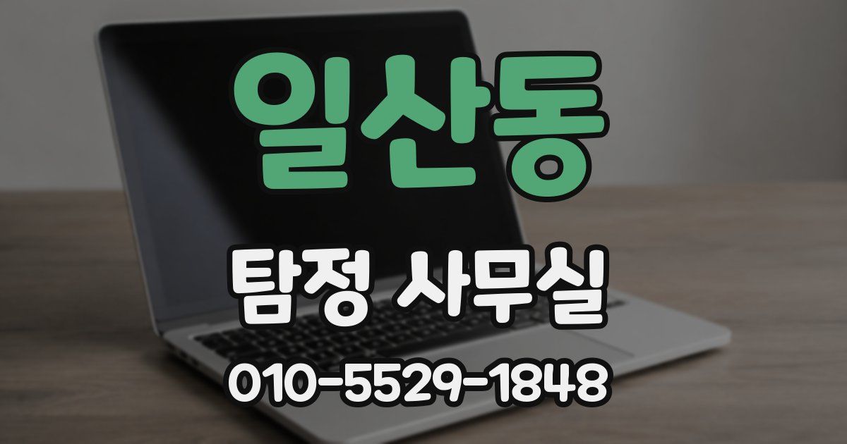 일산동 탐정 사무실