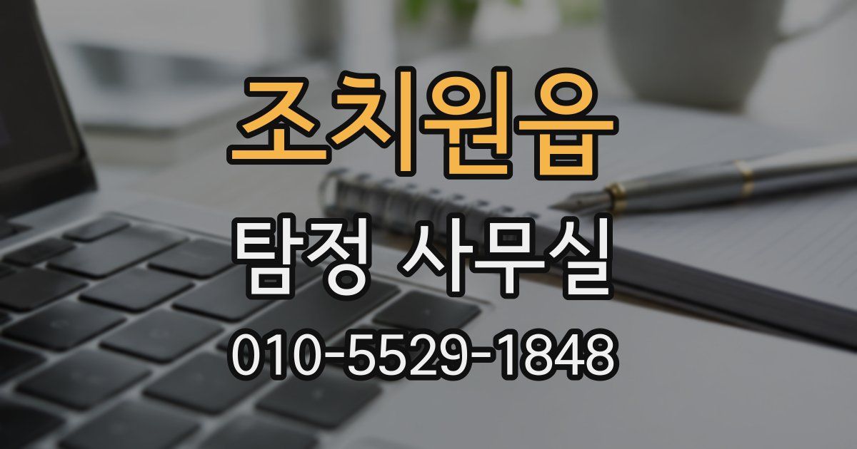 조치원읍 탐정 사무실