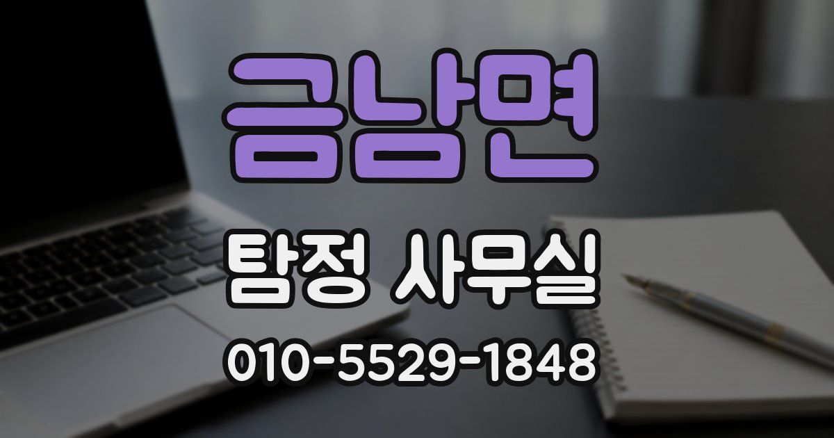 금남면 탐정 사무실