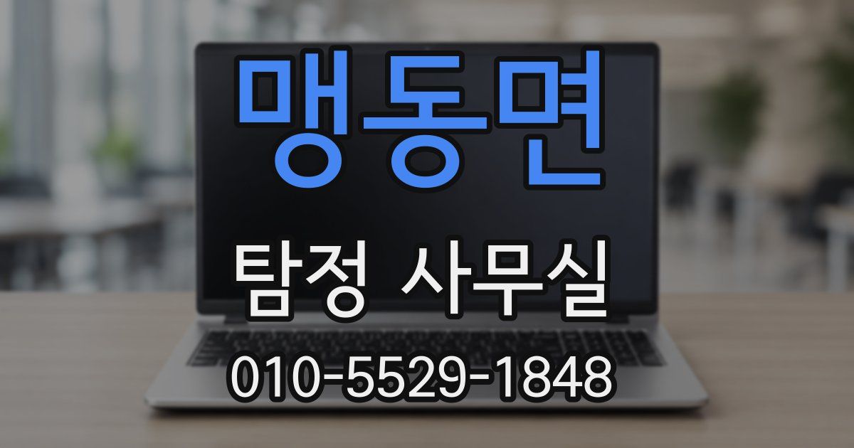 맹동면 탐정 사무실