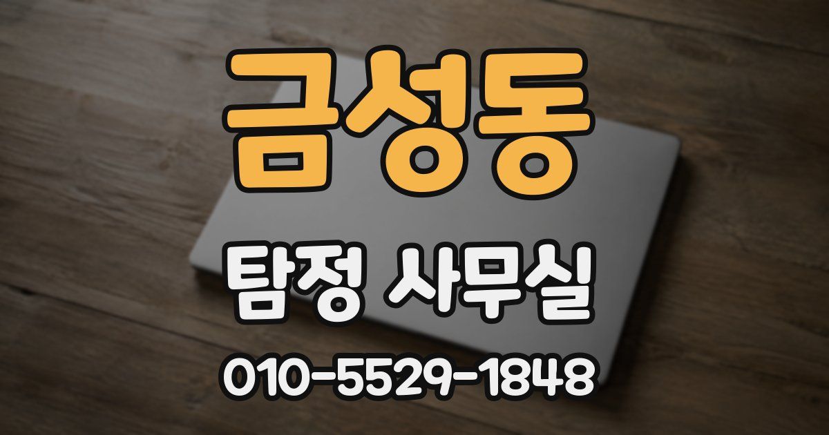 금성동 탐정 사무실