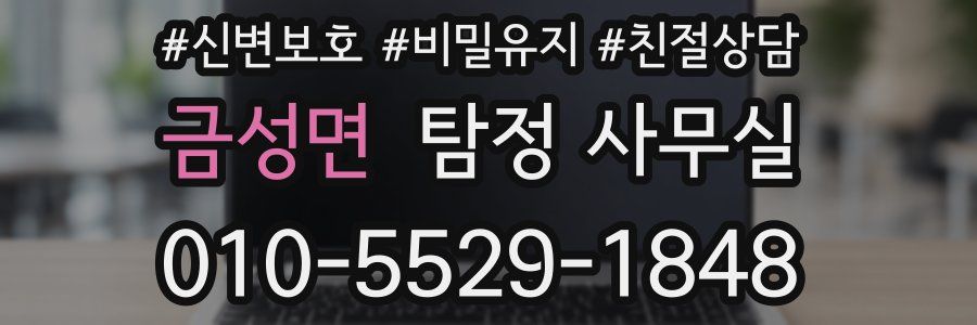 금성면 탐정 사무실