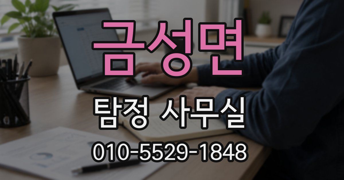 금성면 탐정 사무실