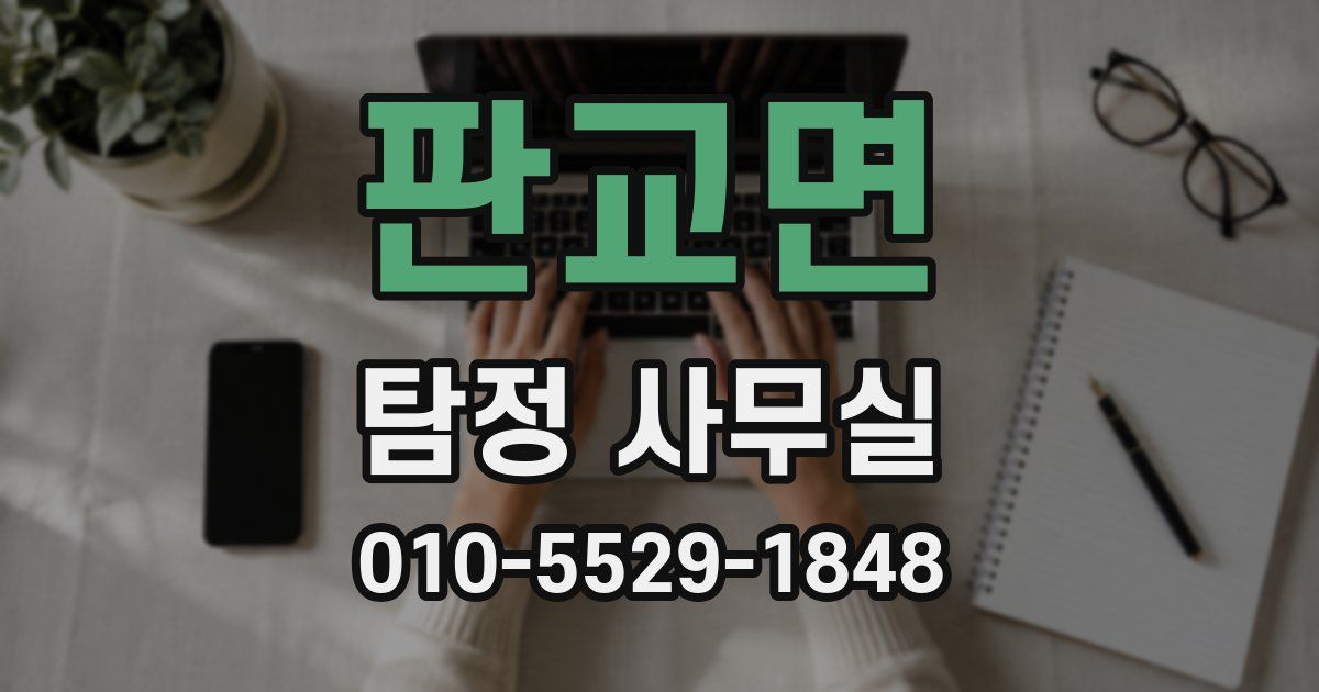 판교면 탐정 사무실