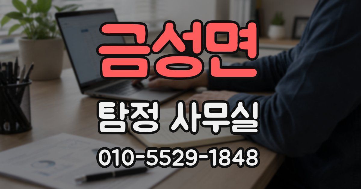 금성면 탐정 사무실