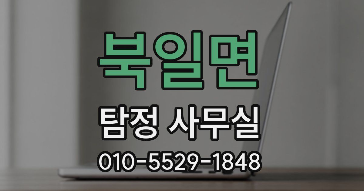 북일면 탐정 사무실
