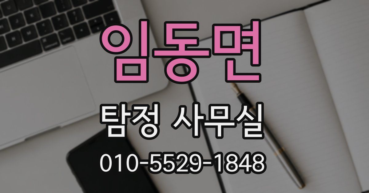 임동면 탐정 사무실