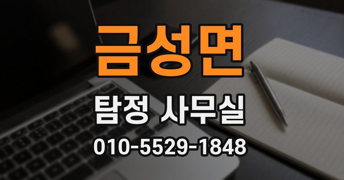 금성면 탐정 사무실