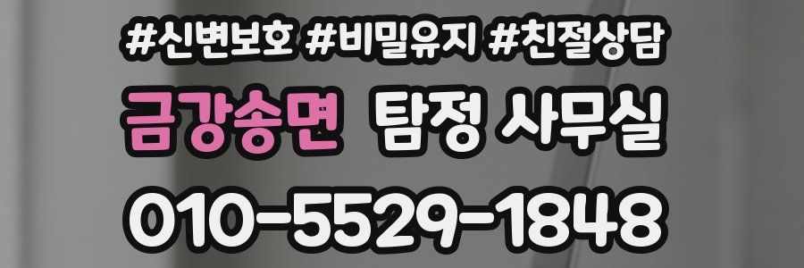 금강송면 탐정 사무실