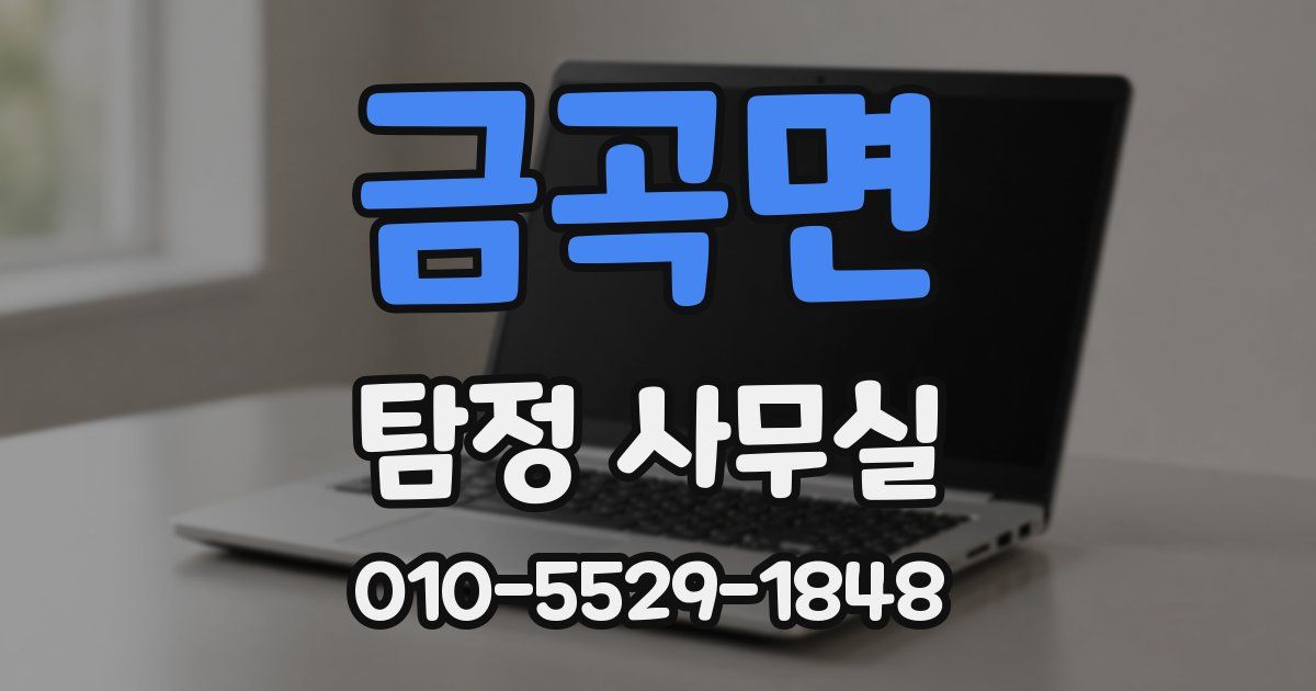 금곡면 탐정 사무실