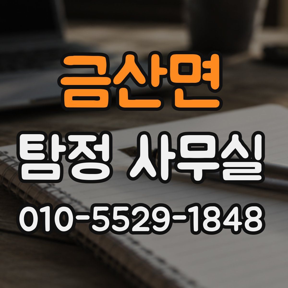 금산면 탐정 사무실