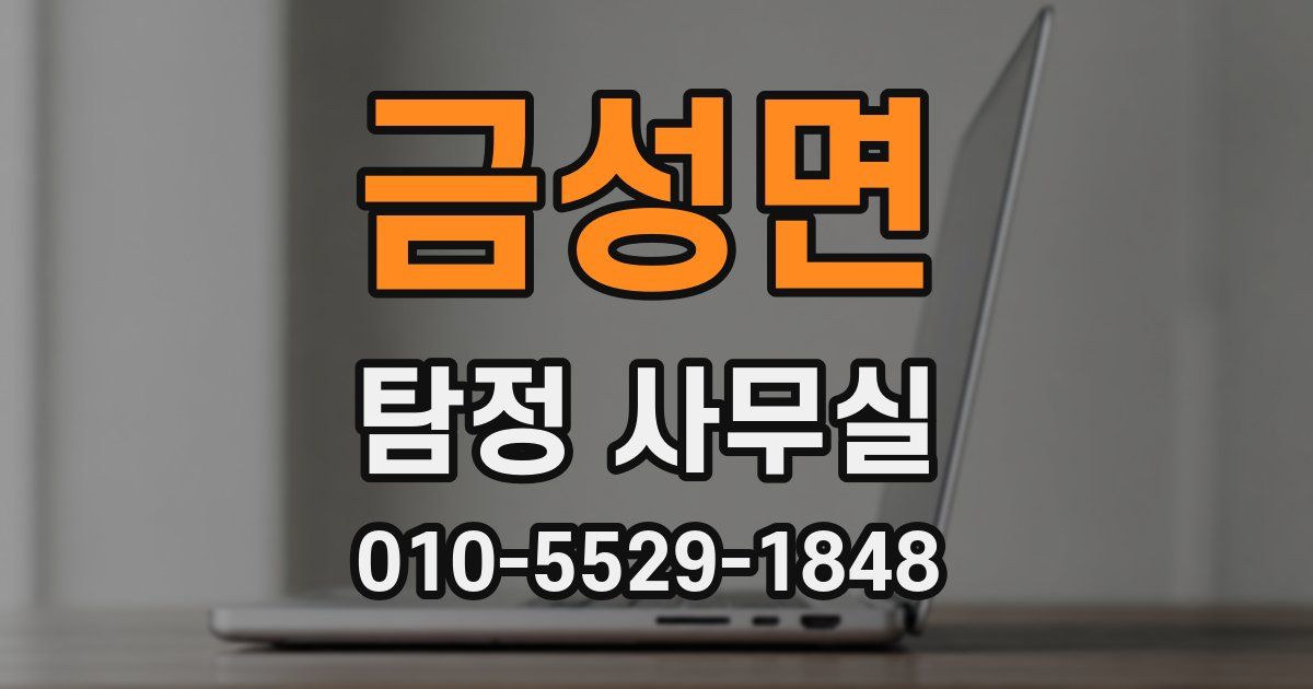 금성면 탐정 사무실
