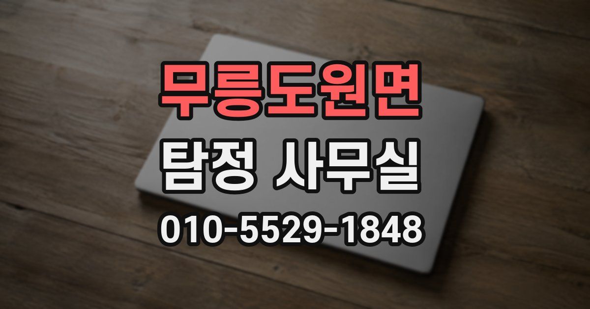 무릉도원면 탐정 사무실