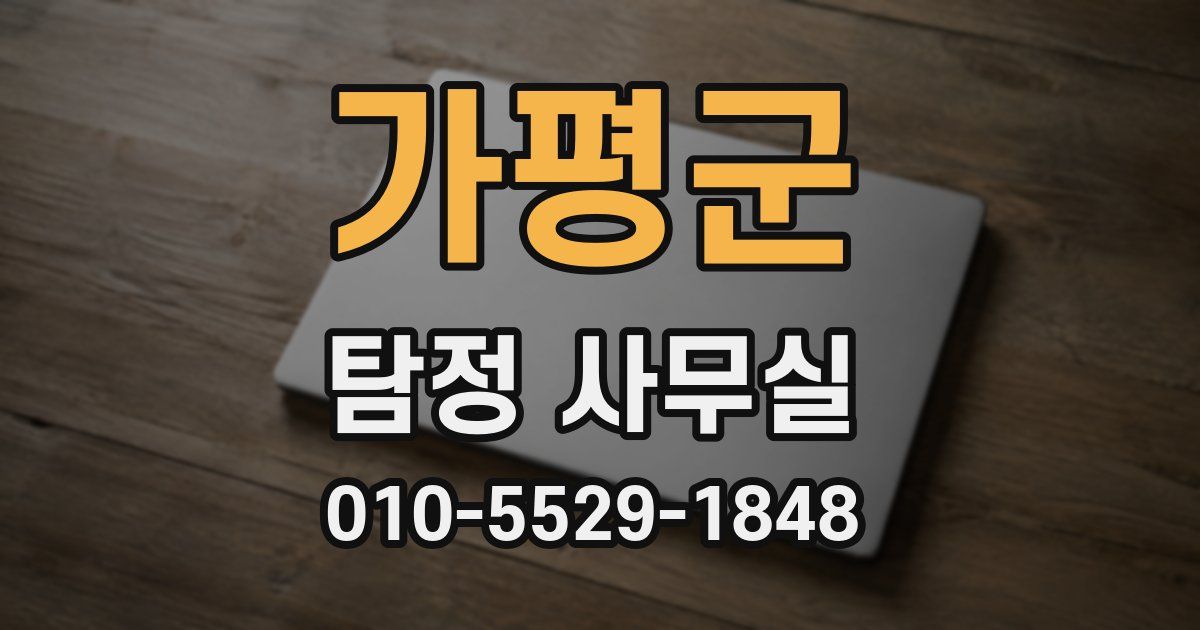 가평군 탐정 사무실