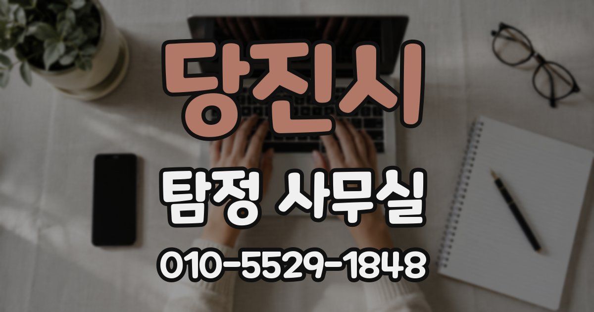 당진시 탐정 사무실