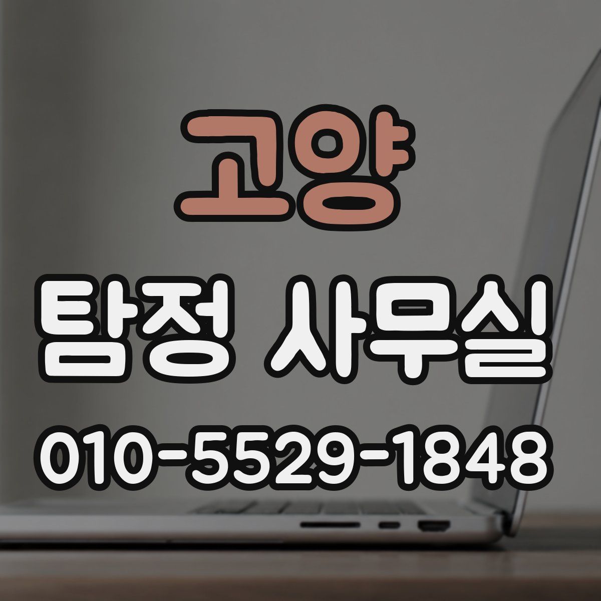 고양 탐정 사무실