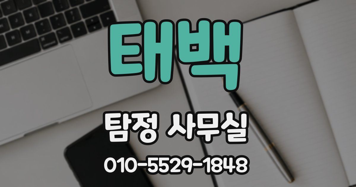 태백 탐정 사무실
