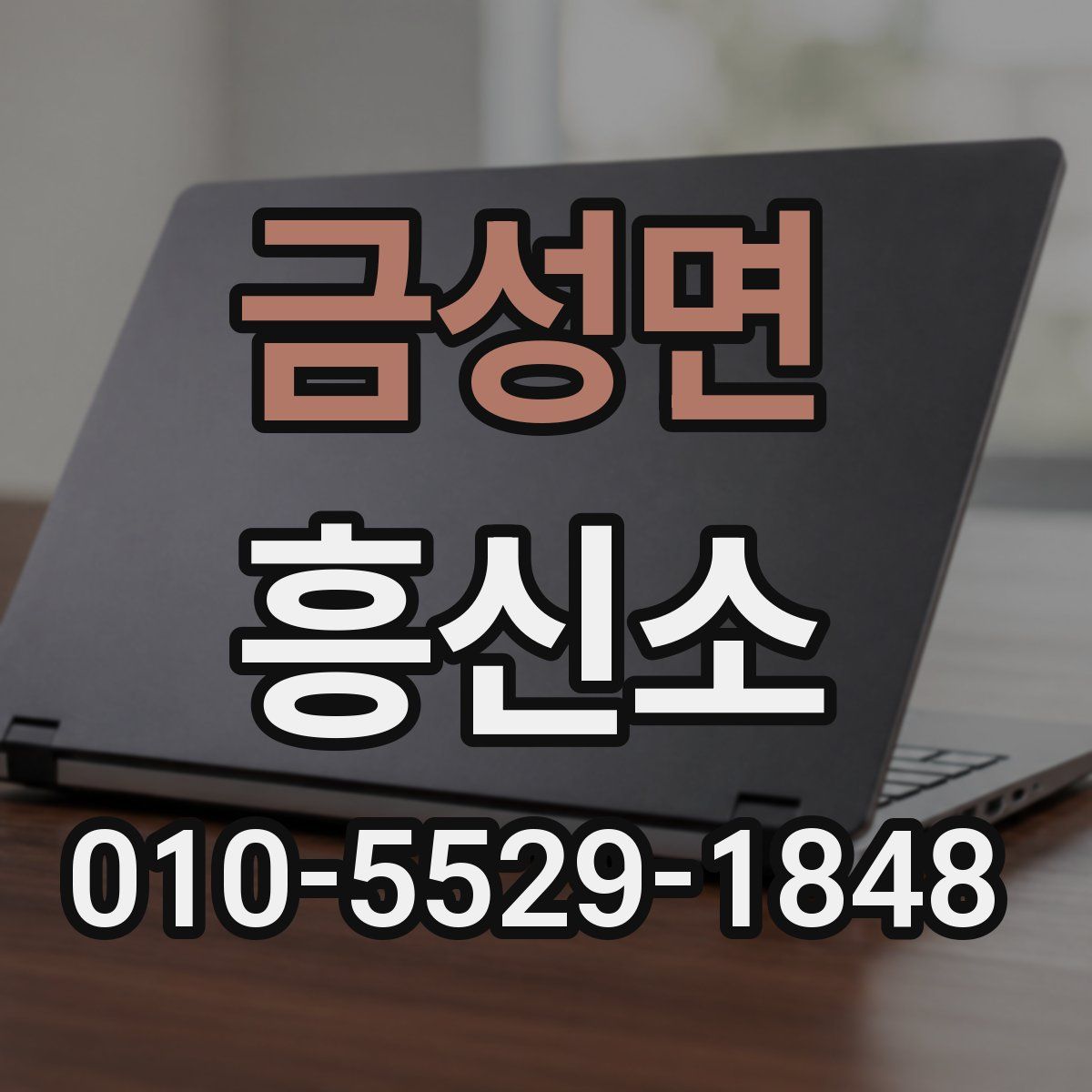 금성면 흥신소
