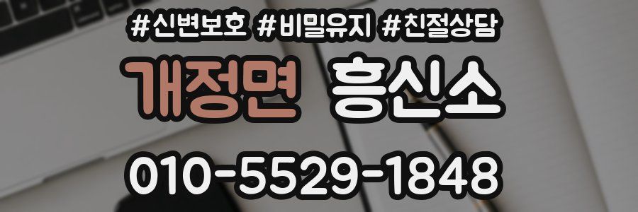 개정면 흥신소