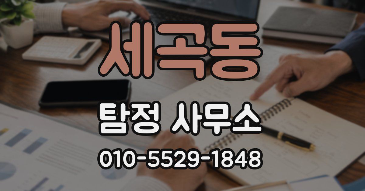 세곡동 탐정 사무소