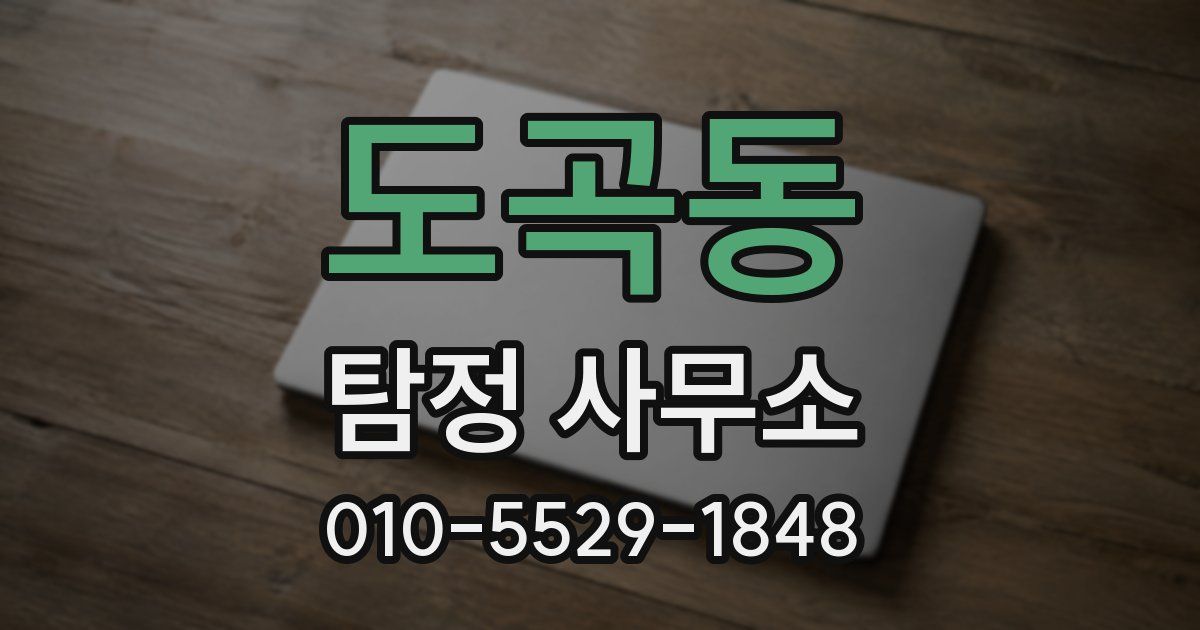 도곡동 탐정 사무소