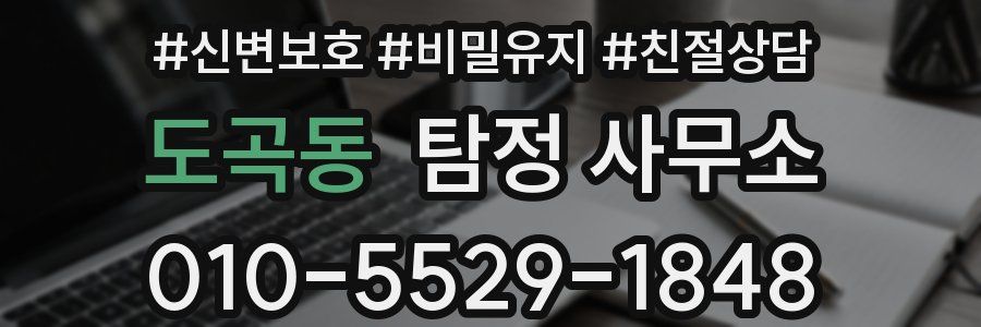 도곡동 탐정 사무소