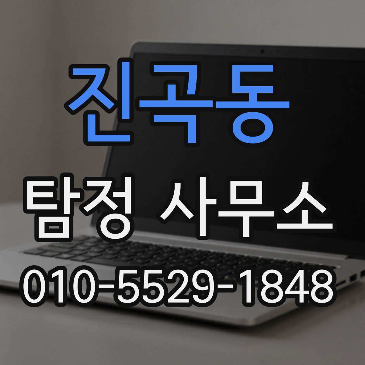 진곡동 탐정 사무소