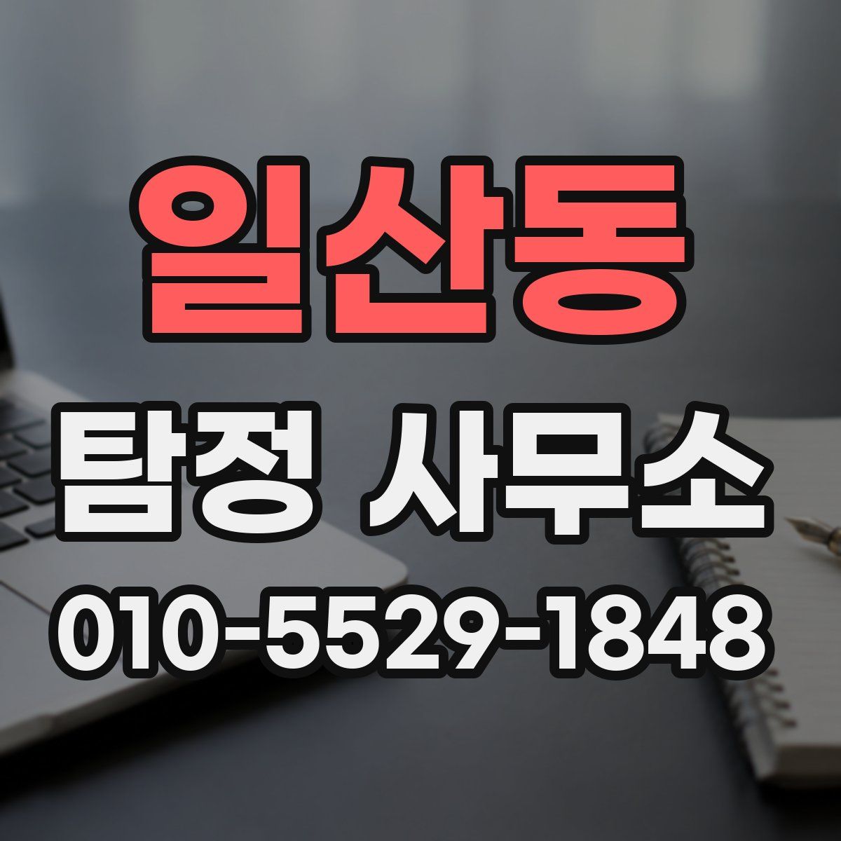 일산동 탐정 사무소