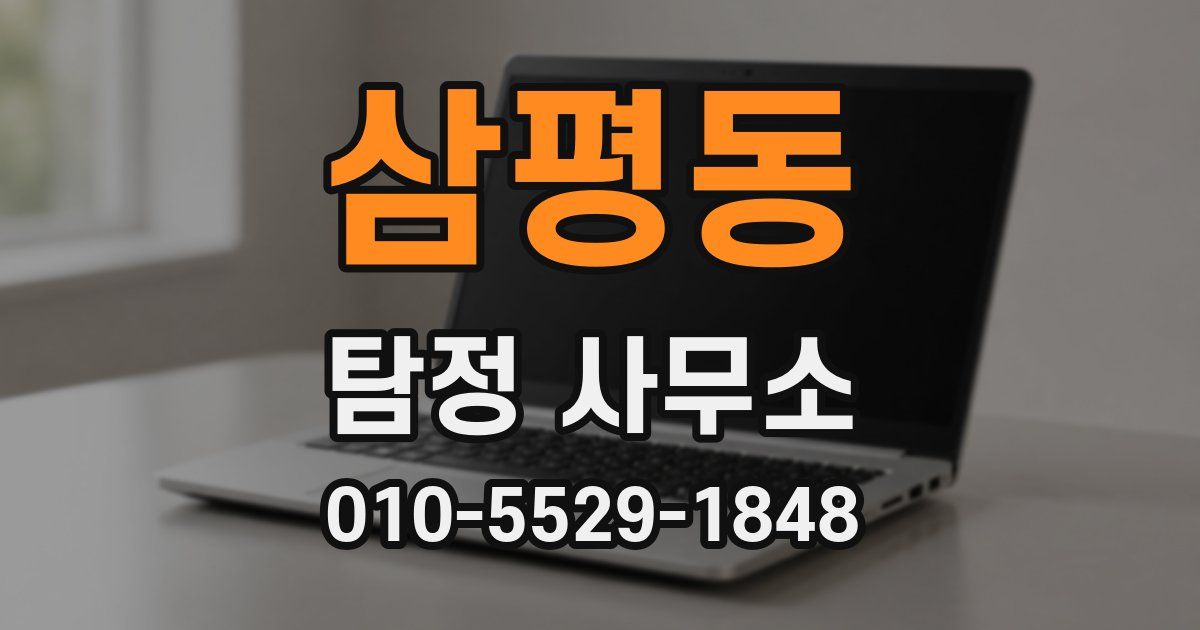 삼평동 탐정 사무소