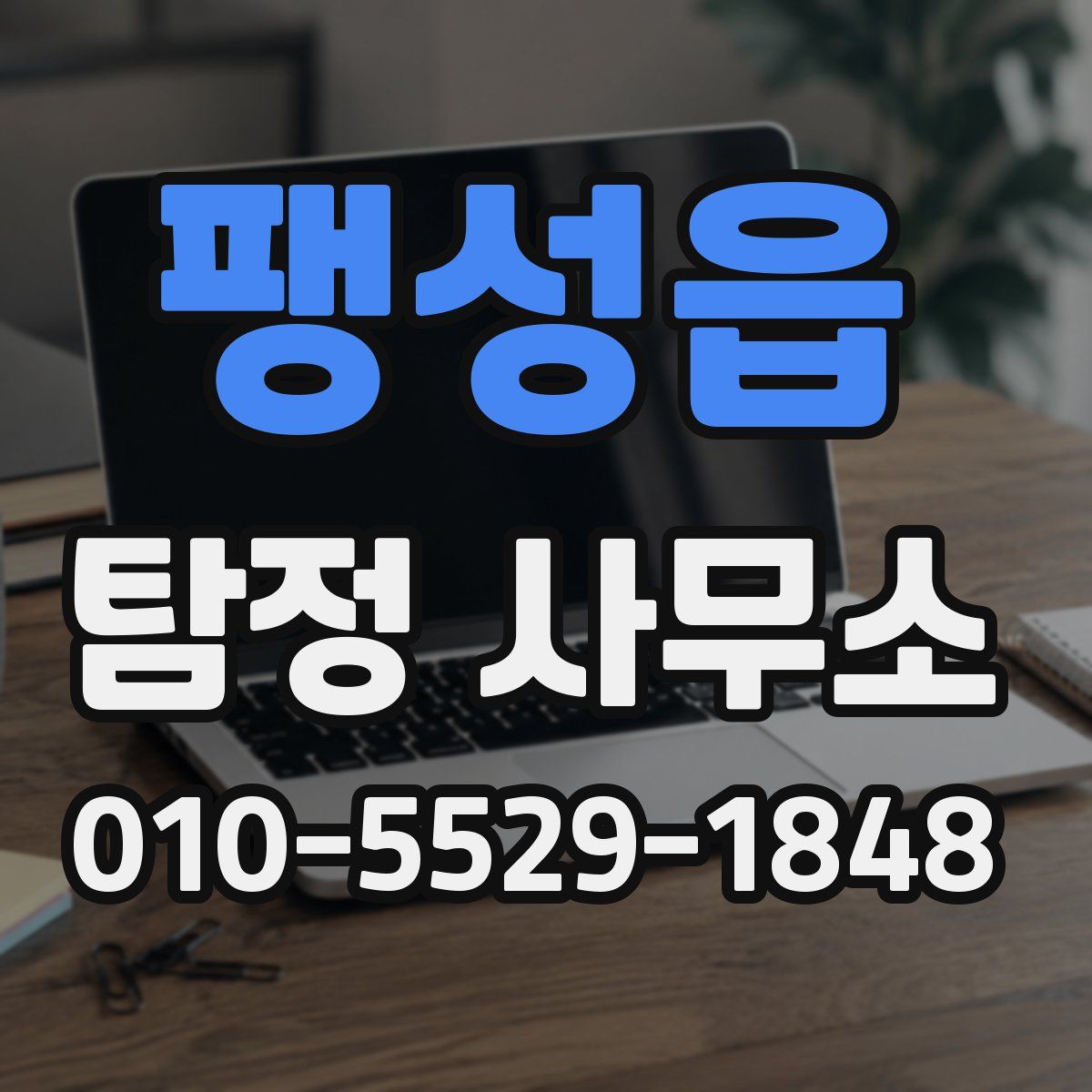 팽성읍 탐정 사무소