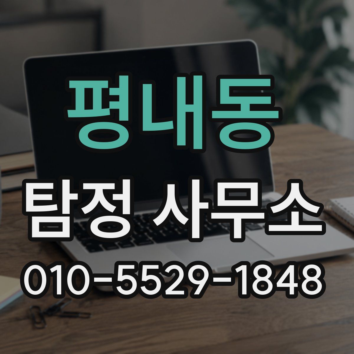 평내동 탐정 사무소