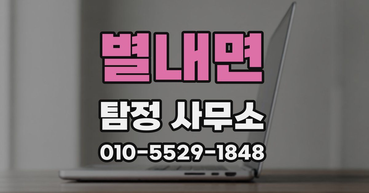 별내면 탐정 사무소