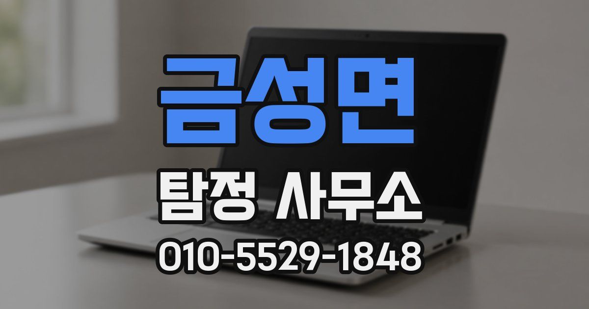 금성면 탐정 사무소