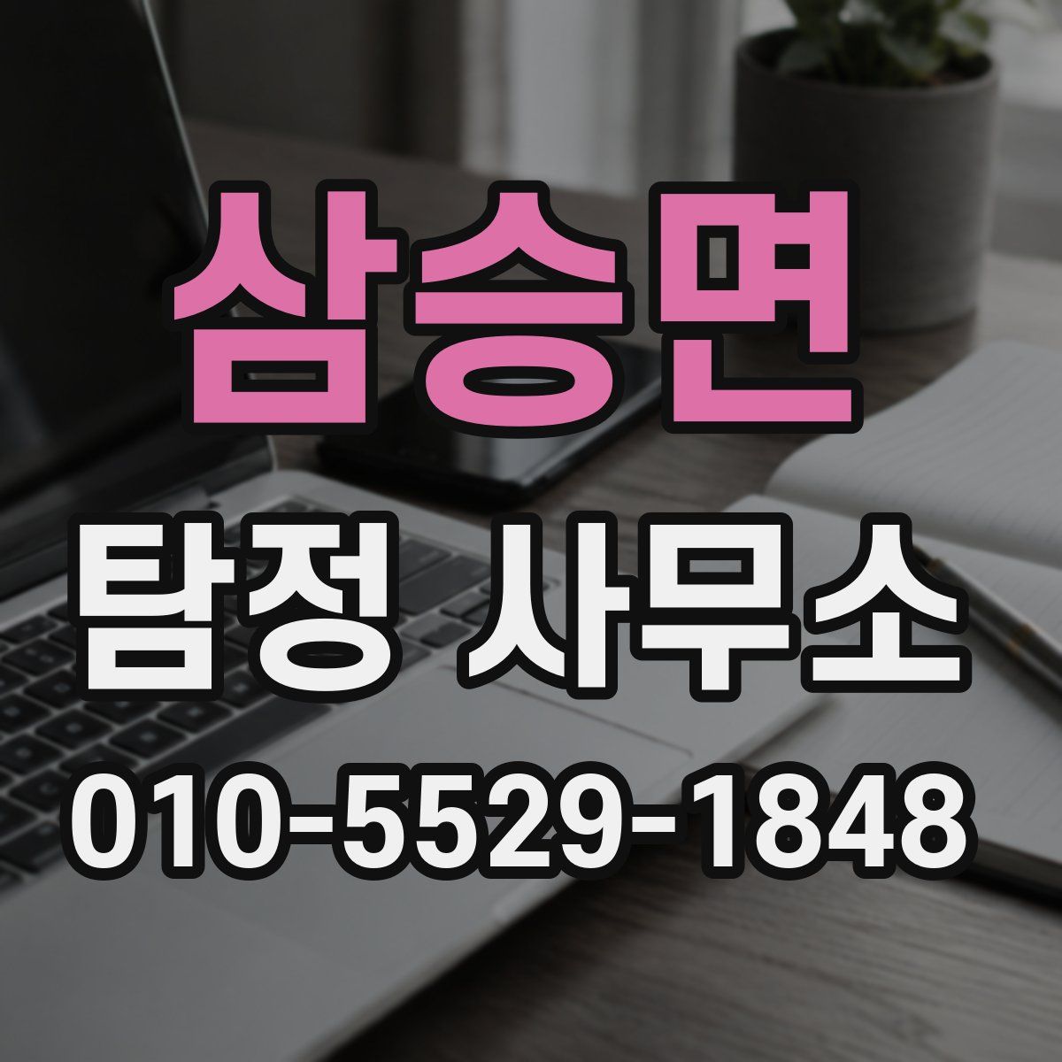 삼승면 탐정 사무소