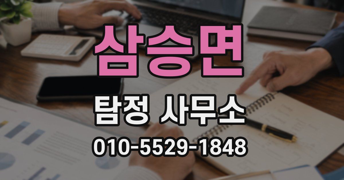 삼승면 탐정 사무소