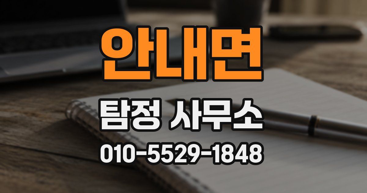 안내면 탐정 사무소