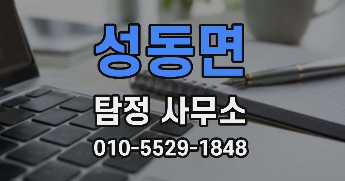 성동면 탐정 사무소
