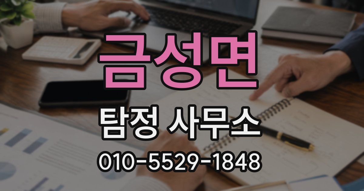 금성면 탐정 사무소