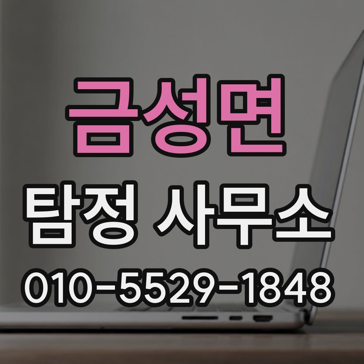 금성면 탐정 사무소