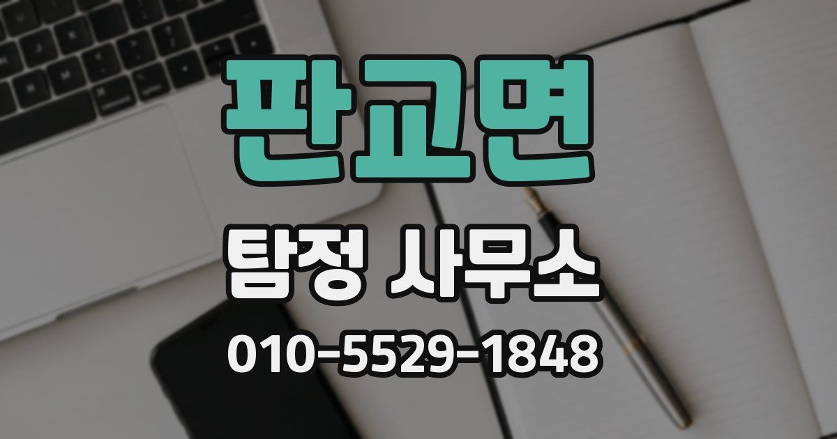 판교면 탐정 사무소