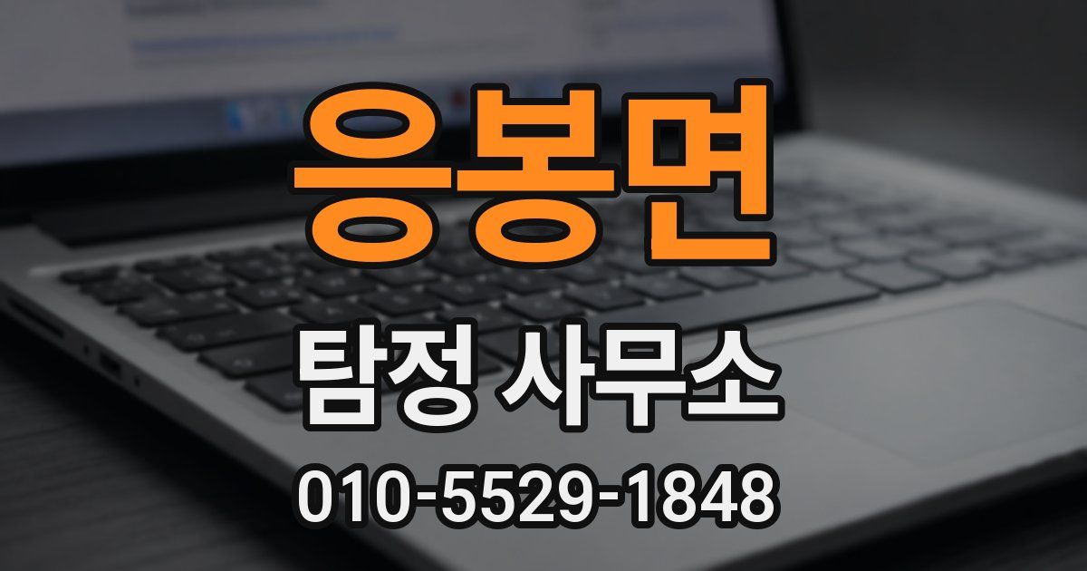 응봉면 탐정 사무소
